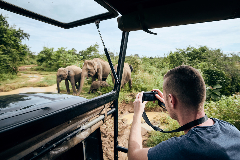 Mann auf Safari durch Südafrika